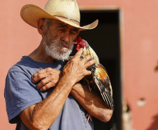 SEEC AGENDA DA SEMANA