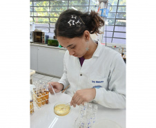 Projetos da rede estadual do Paraná são destaque na Febrace 2025