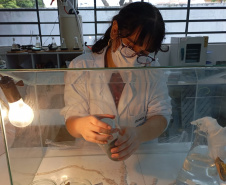 Projetos da rede estadual do Paraná são destaque na Febrace 2025