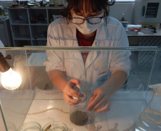 Projetos da rede estadual do Paraná são destaque na Febrace 2025