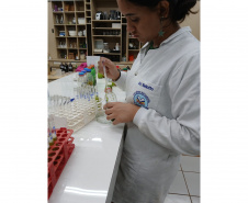 Projetos da rede estadual do Paraná são destaque na Febrace 2025