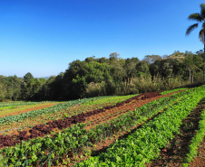 SEAB - Censo Orgânicos