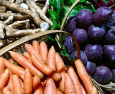 SEAB - Censo Orgânicos