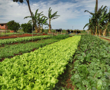 SEAB - Censo Orgânicos