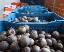 Aparência não é qualidade: O consumo de frutas e vegetais ‘feios’ ajudam a combater o desperdício de alimentos