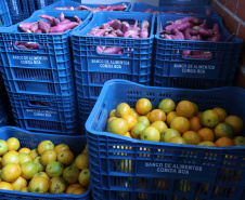 Aparência não é qualidade: O consumo de frutas e vegetais ‘feios’ ajudam a combater o desperdício de alimentos