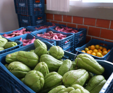Aparência não é qualidade: O consumo de frutas e vegetais ‘feios’ ajudam a combater o desperdício de alimentos