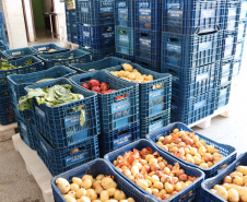 Aparência não é qualidade: O consumo de frutas e vegetais ‘feios’ ajudam a combater o desperdício de alimentos