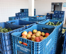 Aparência não é qualidade: O consumo de frutas e vegetais ‘feios’ ajudam a combater o desperdício de alimentos