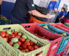 Aparência não é qualidade: O consumo de frutas e vegetais ‘feios’ ajudam a combater o desperdício de alimentos