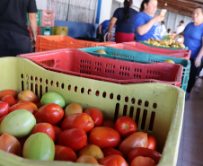 Aparência não é qualidade: O consumo de frutas e vegetais ‘feios’ ajudam a combater o desperdício de alimentos