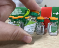 SESA - Vacinar é proteger: imunização previne a coqueluche em crianças e gestantes