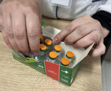 SESA - Vacinar é proteger: imunização previne a coqueluche em crianças e gestantes