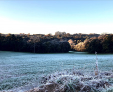 balanço de eventos extremos em 2025