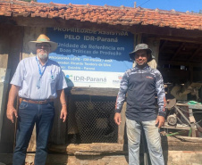 SEAB - Programa no Paraná fortalece pecuária leiteira e aumenta rentabilidade dos produtores