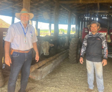 SEAB - Programa no Paraná fortalece pecuária leiteira e aumenta rentabilidade dos produtores