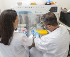 Parceria entre Tecpar e UFPR fortalece PD&I de vacina antirrábica veterinária