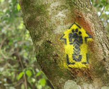 SETU - expedição Caminhos do Peabiru