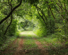 SETU - expedição Caminhos do Peabiru