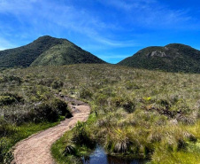 IAT bloqueio Pico Paraná