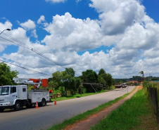 Copel - Batidas de veículos em postes geraram 3,6 mil substituições no Paraná