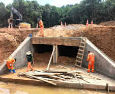 PR-092 Pavimentação Doutor Ulysses 19%