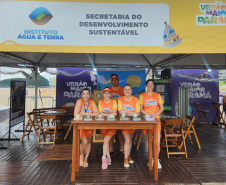 Programação educativa IAT