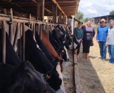 SEAB - Programa no Paraná fortalece pecuária leiteira e aumenta rentabilidade dos produtores