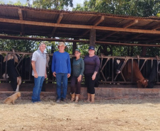 SEAB - Programa no Paraná fortalece pecuária leiteira e aumenta rentabilidade dos produtores