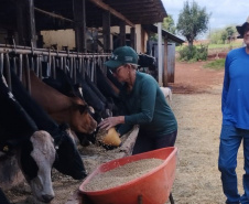 SEAB - Programa no Paraná fortalece pecuária leiteira e aumenta rentabilidade dos produtores
