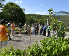 “Um dia no viveiro” mobiliza comunidade litorânea para a educação ambiental