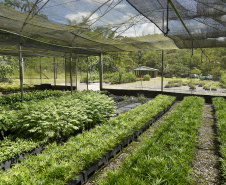 “Um dia no viveiro” mobiliza comunidade litorânea para a educação ambiental