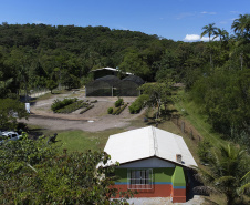 “Um dia no viveiro” mobiliza comunidade litorânea para a educação ambiental