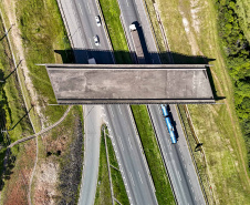 Estado vai concluir obra de viaduto inacabado há 30 anos em São José dos Pinhais