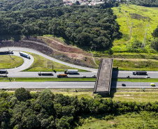 Estado vai concluir obra de viaduto inacabado há 30 anos em São José dos Pinhais