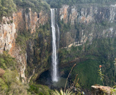 Pesquisa da Unicentro mapeia mamíferos silvestres em unidades de conservação