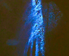 Luminol reforça atuação da Polícia Científica na identificação de vestígios ocultos