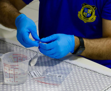 Luminol reforça atuação da Polícia Científica na identificação de vestígios ocultos