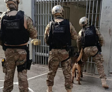 Segurança prisional: como operam os grupos especiais da Polícia Penal