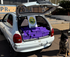 Ação do BPRv apreende armas e mais de 210 quilos de drogas em Iporã