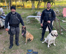 PPPR - Setor de Operações Especiais da Polícia Penal do Paraná completa 12 anos de atuação