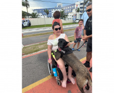 Cães da Polícia Penal reforçam segurança no litoral durante o Verão Maior Paraná