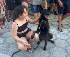 Cães da Polícia Penal reforçam segurança no litoral durante o Verão Maior Paraná