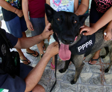 Cães da Polícia Penal reforçam segurança no litoral durante o Verão Maior Paraná