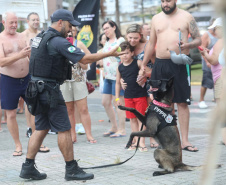 Cães da Polícia Penal reforçam segurança no litoral durante o Verão Maior Paraná