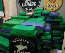 PCPR apreende 2,5 toneladas de drogas em área rural de Itaipulândia