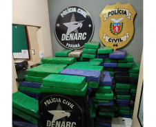 PCPR apreende 2,5 toneladas de drogas em área rural de Itaipulândia