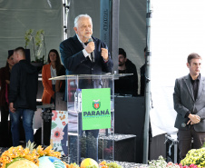 MERCADO DAS FLORES CEASA