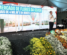MERCADO DAS FLORES CEASA