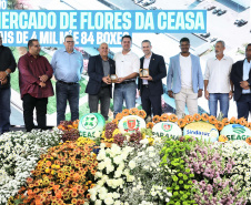 MERCADO DAS FLORES CEASA